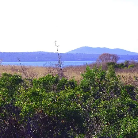 House Pygmy Cormorant Vikendica Pirovac