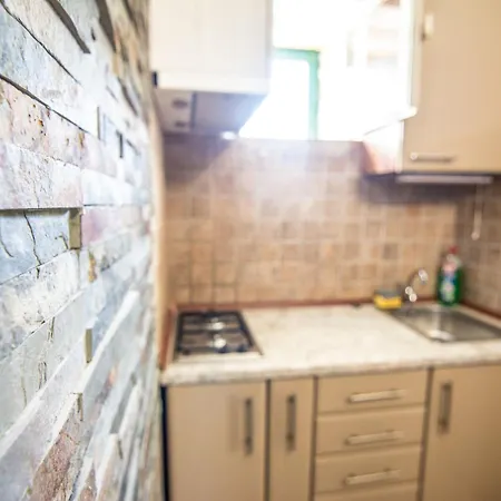 House Pygmy Cormorant Semesterbostad *