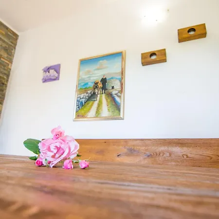 House Pygmy Cormorant Semesterbostad