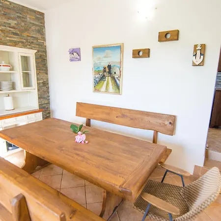 Semesterbostad House Pygmy Cormorant *