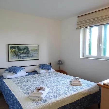 House Pygmy Cormorant Semesterbostad Pirovac