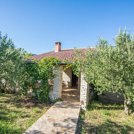 House Pool House By The Sea Tatil Evi Pirovac
