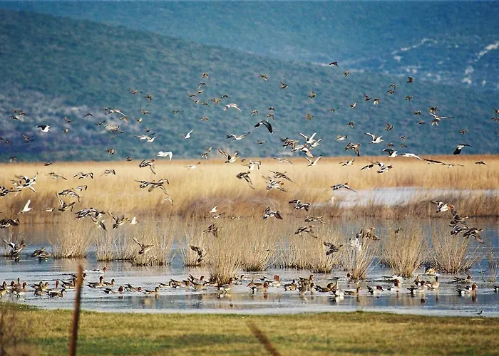 Nyaraló House By The Sea