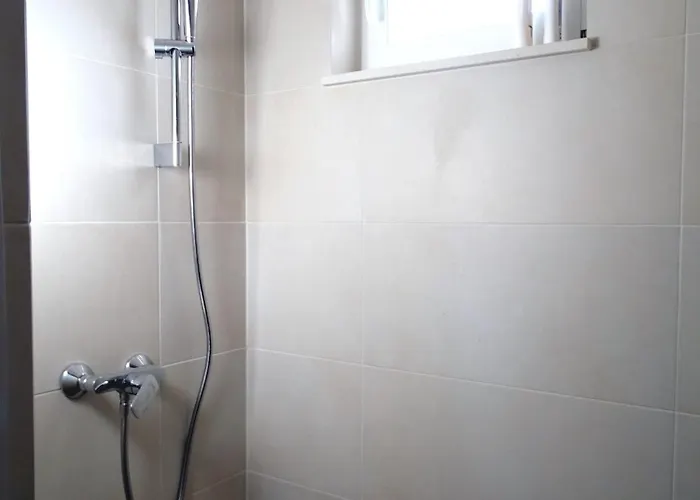 House Pygmy Cormorant Vakantiehuis Pirovac