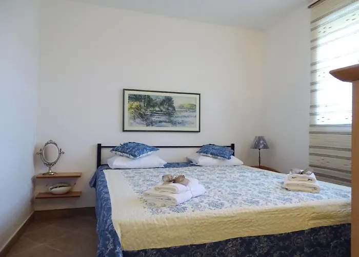 House Pygmy Cormorant Vakantiehuis