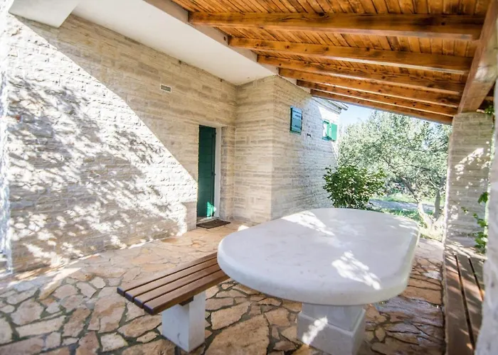 House Pygmy Cormorant *